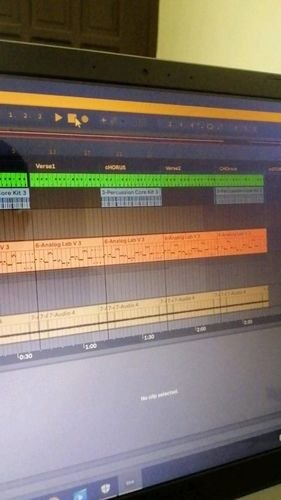 Image #1 from Anwen Fitzpatrick